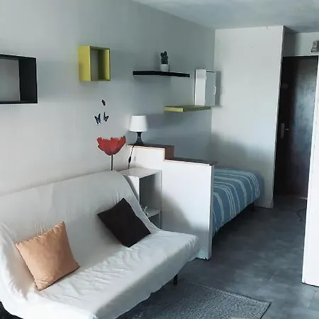 Studio Carnon-plage Apartment