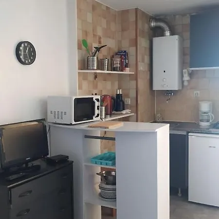 Studio Carnon-plage Apartment